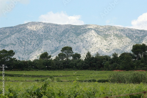 Vue sur la Montagne Sainte Victoire