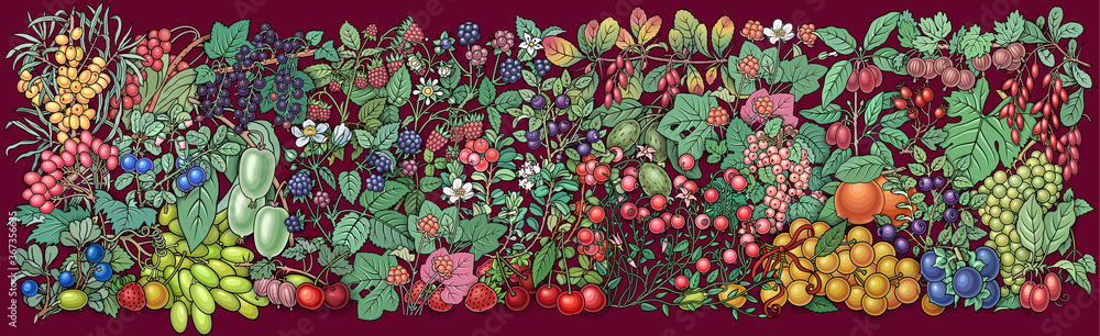 Berries, fruits hand drawn vector doodles banner Berries, fruits hand drawn vector doodles banner
