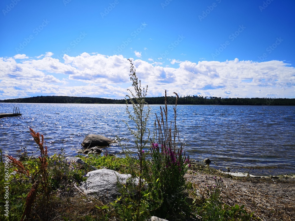 Nice calm nature motive by lake in Enköping.Place called Härjarö. Province Uppsala in sweden.