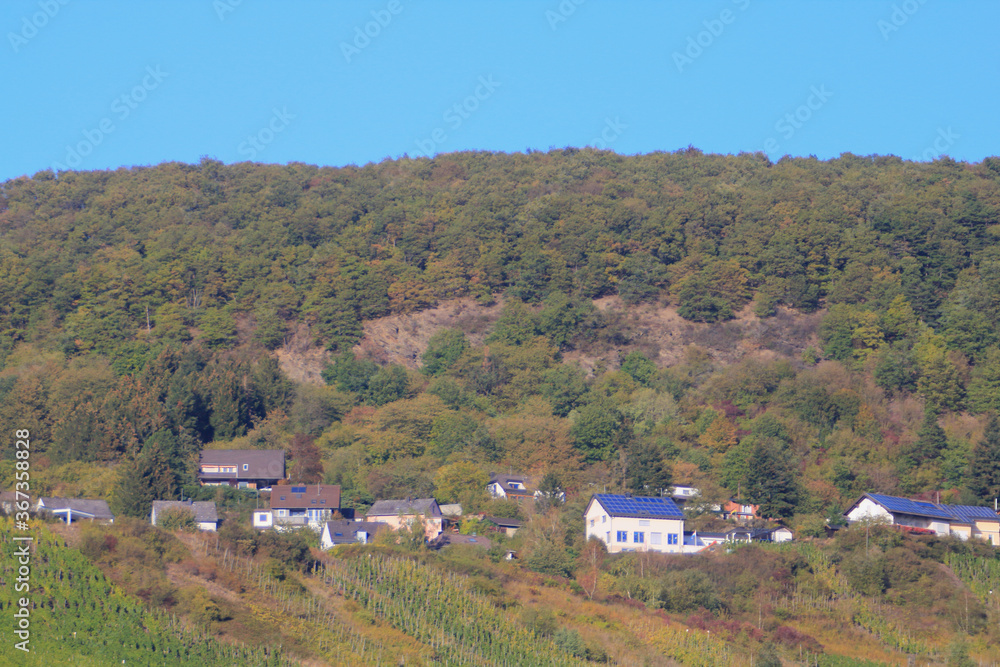 Fototapeta premium Homes in the Forest