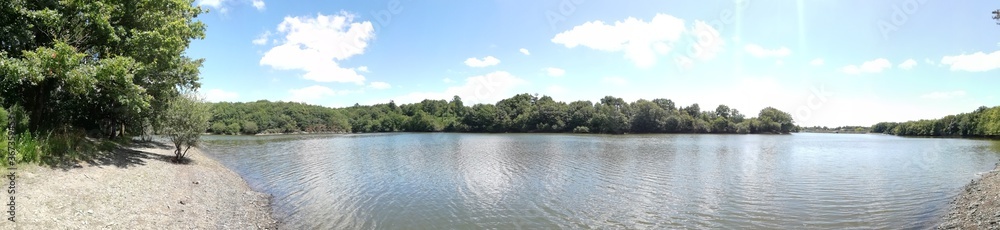 panorama d'un lac et sa forêt en été