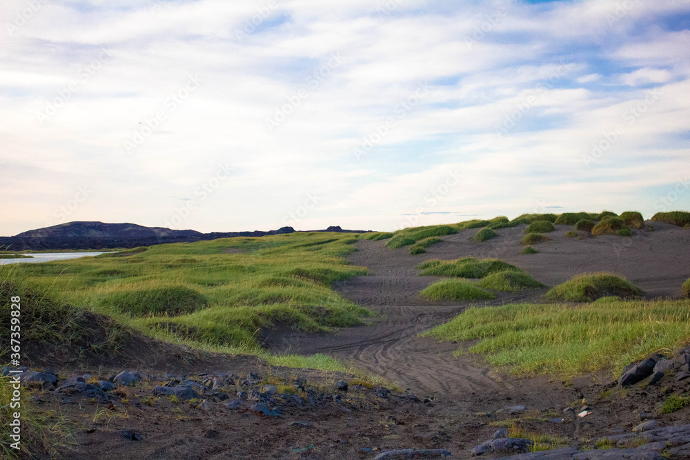 Iceland Grass Dunes Iceland Grass Dunes