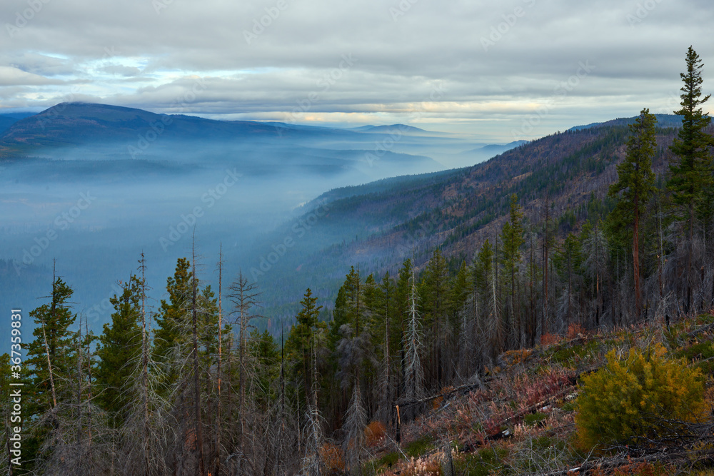 Misty mountain valley in the morning. View from Green Ridge Lookout in Central Oregon.