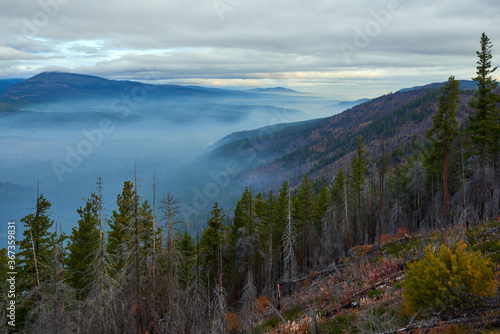 Misty mountain valley in the morning. View from Green Ridge Lookout in Central Oregon.