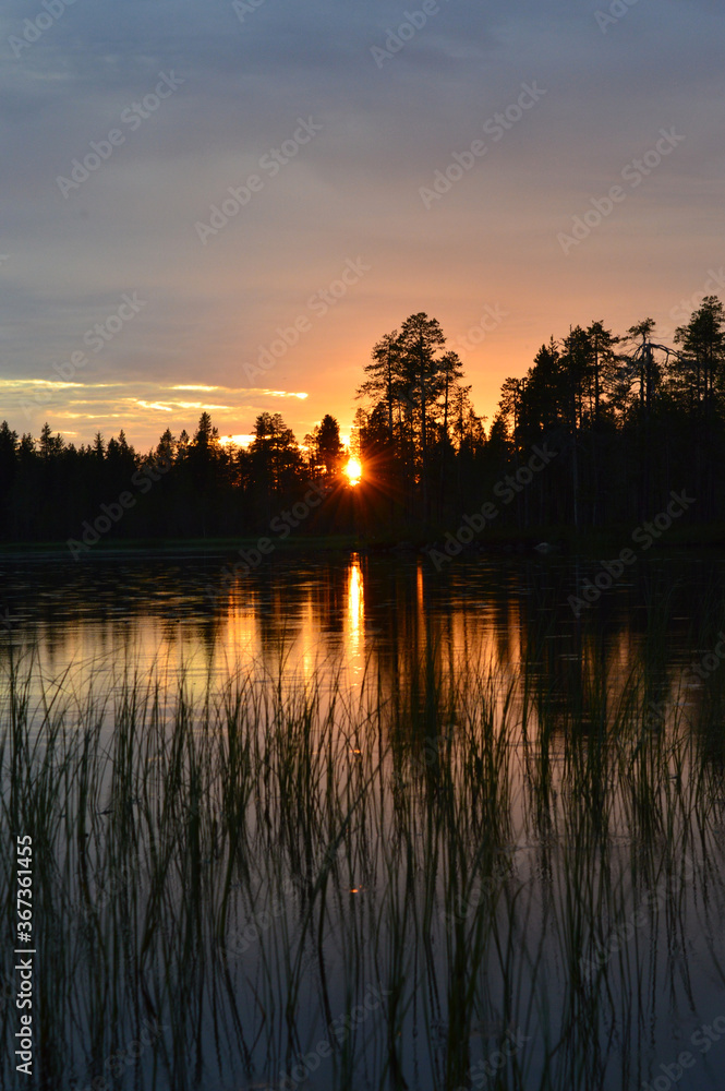Finnish summer night. Lake and sunset. Fading light, pastel colors. Water grass in the foreground. Serene and beautiful nature.