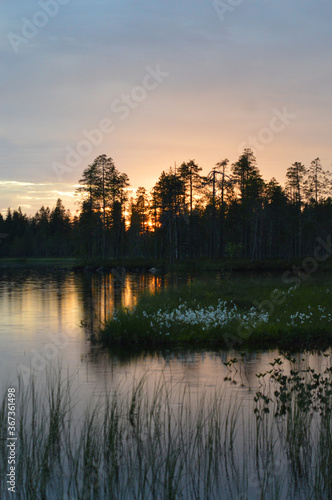 Finnish summer night. Lake and sunset. Fading light, pastel colors. Water grass in the foreground. Serene and beautiful nature. © Heli