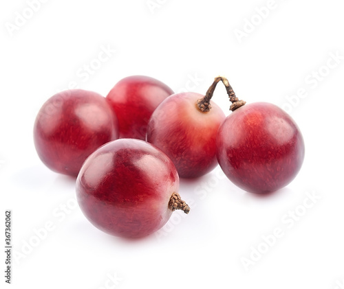 Pink grapes macro