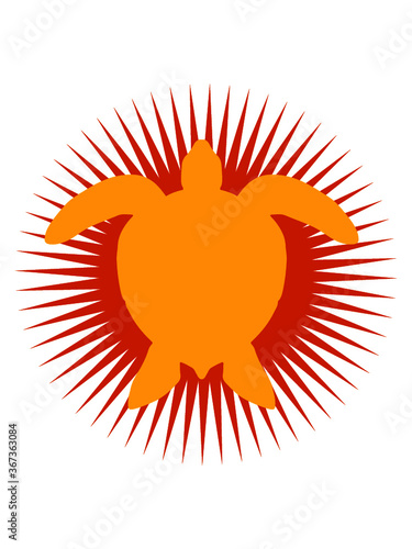 Stern Wasserschildkröte Logo Meeresschildkröte 