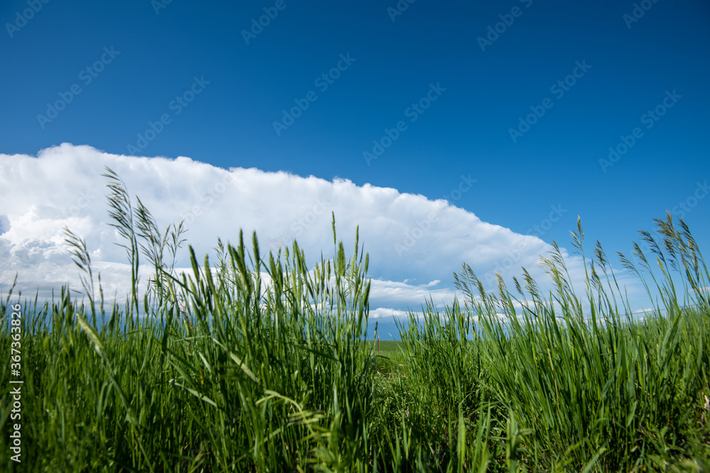 Fototapeta premium Storm Cloud Formation