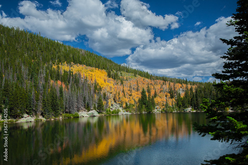 Fototapeta Naklejka Na Ścianę i Meble -  An aspen forest showing peak fall color is reflected in Bear lake, Rocky Mountain National Park, Colorado.