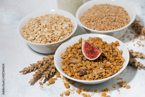 range of products made from oats for healthy food, closeup
