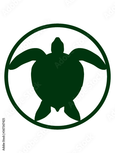 Ring Button Wasserschildkröte Logo 