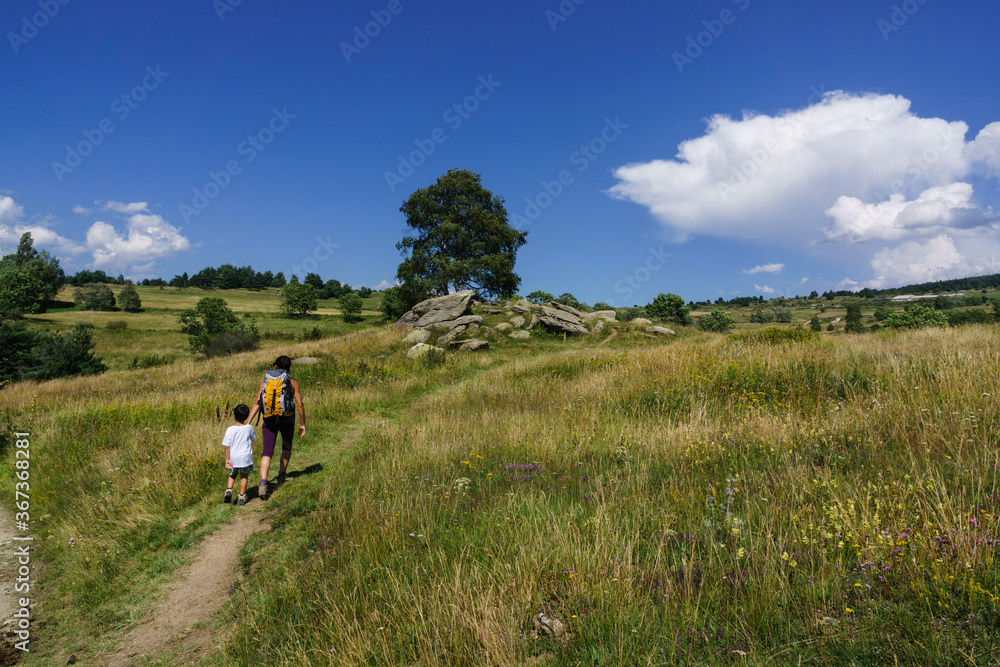 Fototapeta premium Dolmen Lo Pou, sendero arqueologico de Eyne, pirineos catalanes, comarca de Capcir, Francia