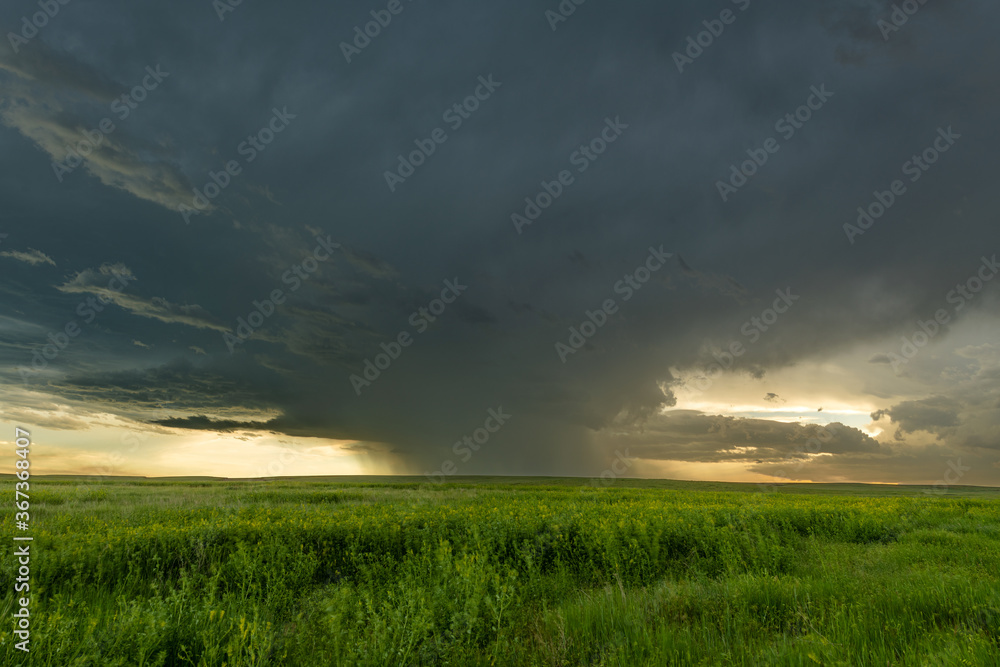 Tornadic Cell over Grassy Field