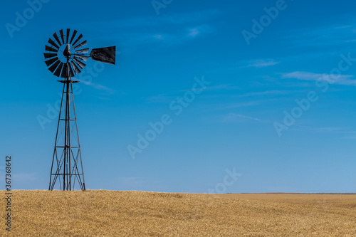 Wind Pump in a Wheat Field, WA
