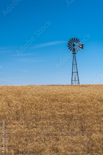 Wind Pump in a Wheat Field, WA