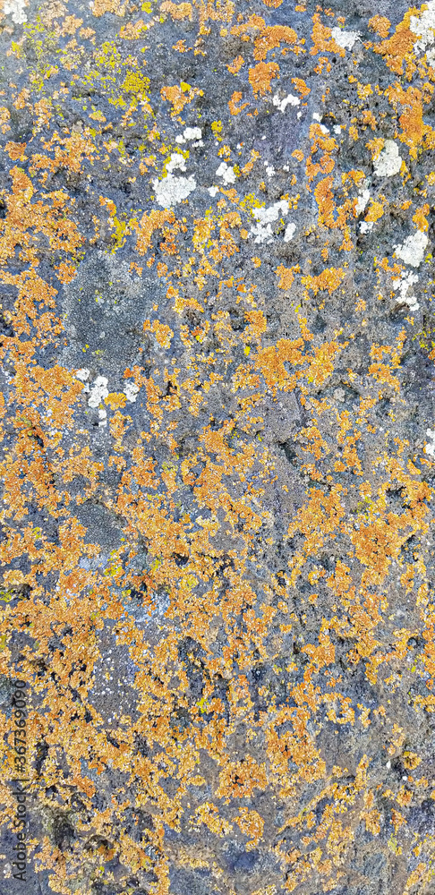 Abstract authentic authentic colored old stones backgrounds Abstract authentic authentic colored old stones backgrounds