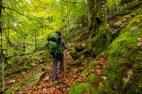 bosque de Bordes, valle de Valier -Riberot-, Parque Natural Regional de los Pirineos de Ariège, cordillera de los Pirineos, Francia