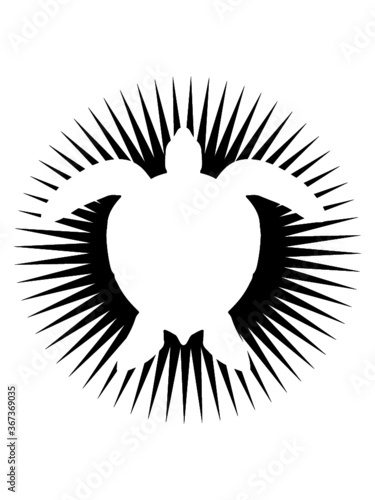 Logo Stern Wasserschildkröte Meeresschildkröte 