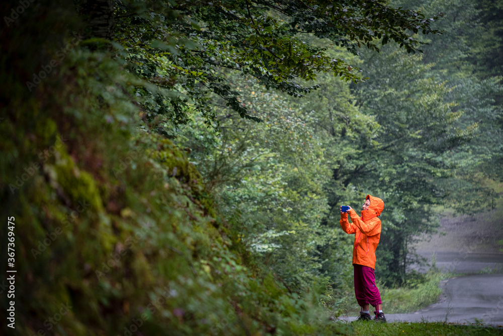 Obraz premium escursionista fotografiando el bosque, valle de Belagua, Isaba, Navarra, Spain, Europe