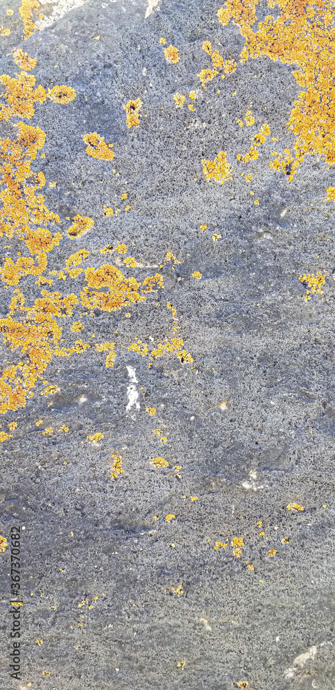 Abstract authentic authentic colored old stones backgrounds Abstract authentic authentic colored old stones backgrounds