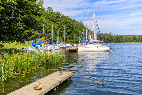 Fototapeta Naklejka Na Ścianę i Meble -  Ducks on wooden lake pier and sailboats mooring in small marina Janus near Ruciane Nida town, Mazury Lake District, Poland