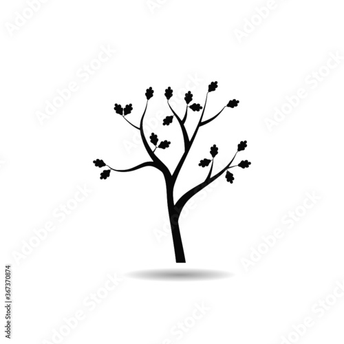 Oak tree icon with shadow photo