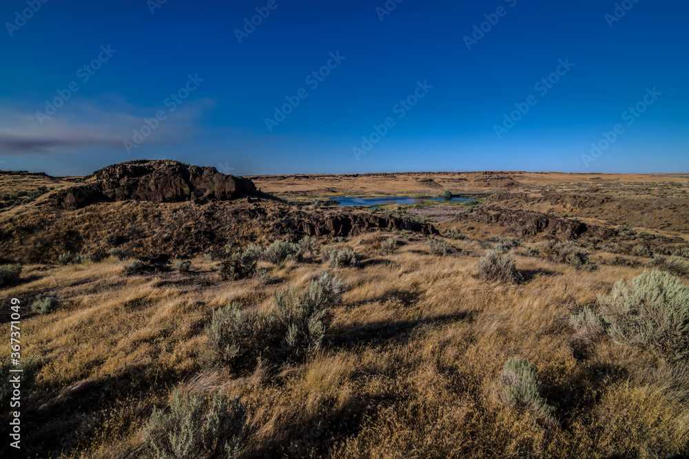 Landscape of Columbia National Wildlife Refuge, WA Landscape of Columbia National Wildlife Refuge, WA