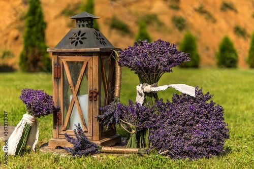 Lavender harvest. Freshly picked lavender on a green field and an old wooden lamp. Decoration from fragrant herbs