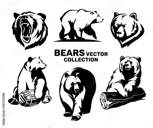 Bears vector collection . Illustration isolated on white background for print and poster.