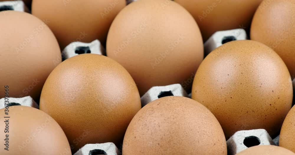 Truck shot close up of raw chicken egg pattern on the egg panel Truck shot close up of raw chicken egg pattern on the egg panel