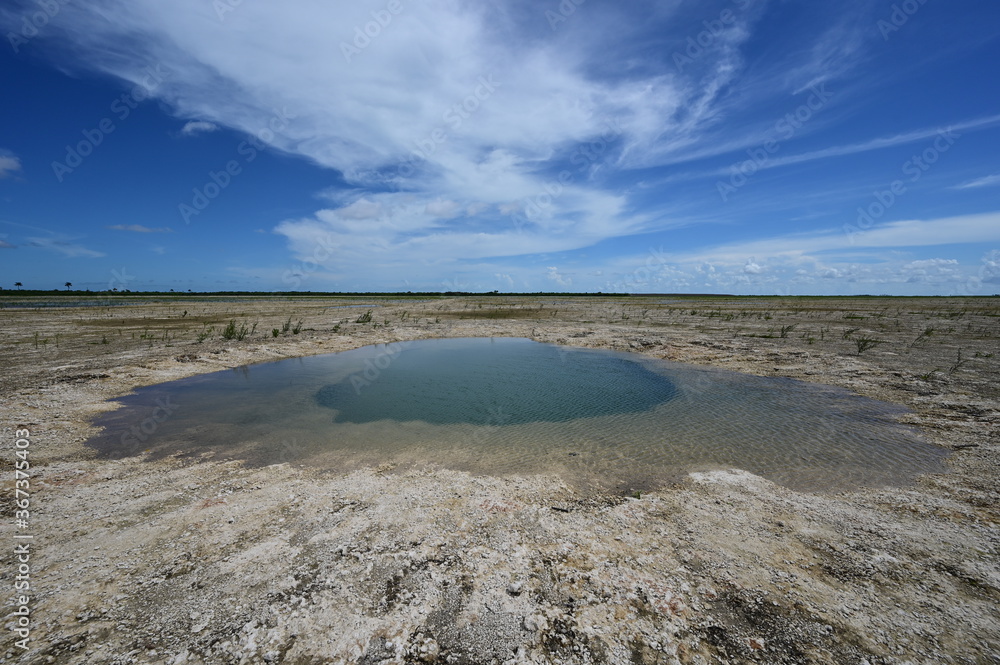 Solution Hole in Hole-In-The-Donut restoration project area in Everglades National Park, Florida under summer cloudscape. Solution Hole in Hole-In-The-Donut restoration project area in Everglades National Park, Florida under summer cloudscape.