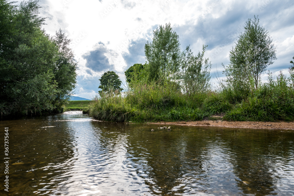 river in the park