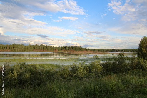 Summer Evening On Astotin Lake  Elk Island National Park  Alberta