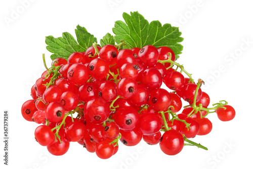 red currant berries isolated on white background