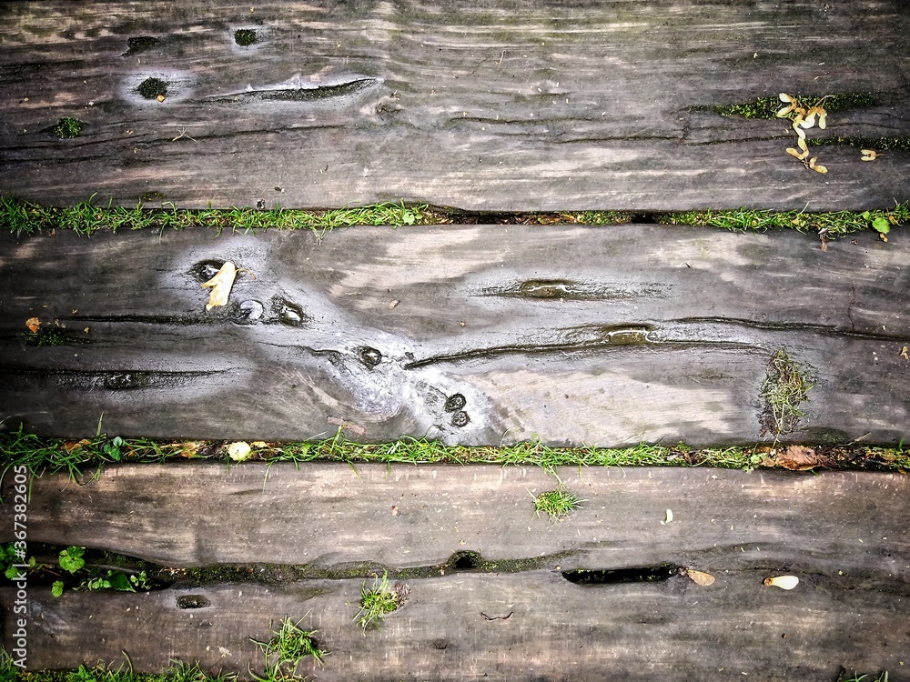 Naklejka premium old wood background