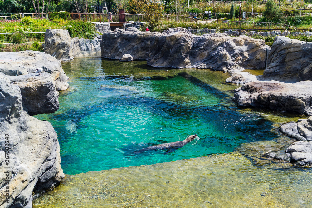 Naklejka premium Le jardin des mondes en Belgique