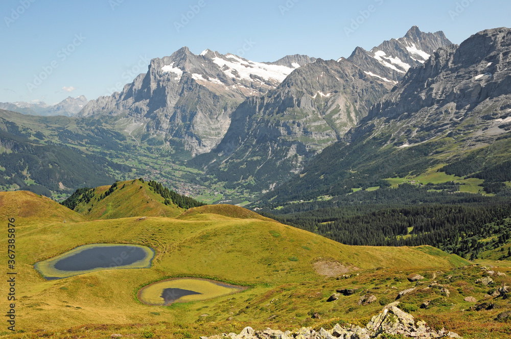 Naklejka premium The Wetterhorn seen from Männlichen.