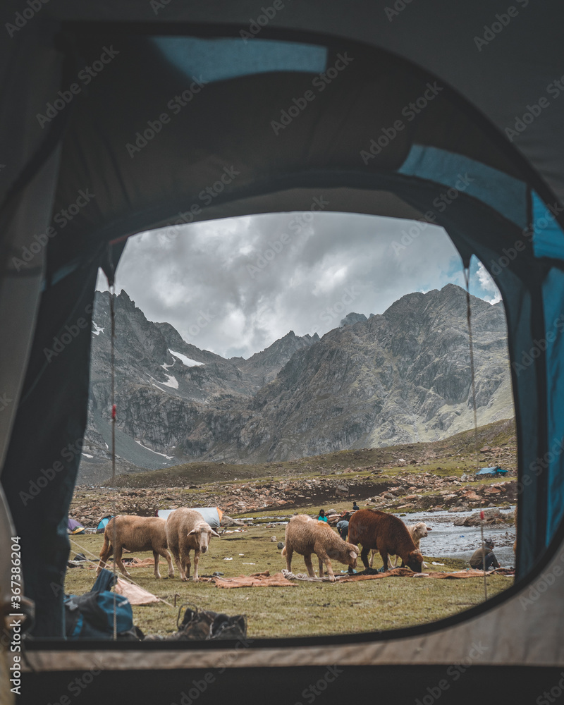 Fototapeta premium A view from the tent.