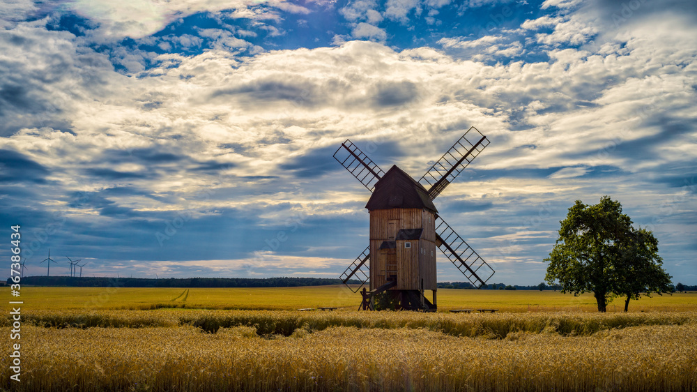 Naklejka premium eine Windmühle auf einem Getreidefeld