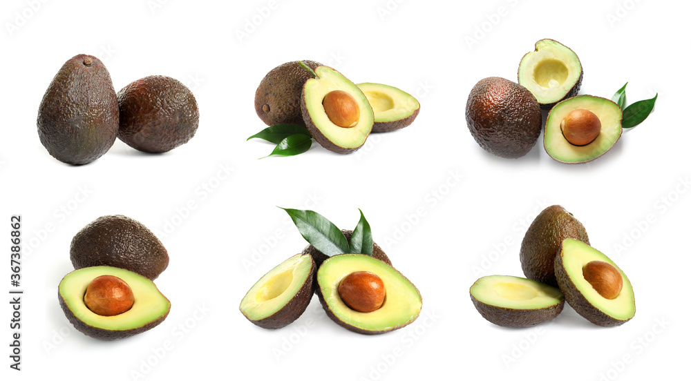 Set of cut and whole avocados on white background, banner design Set of cut and whole avocados on white background, banner design