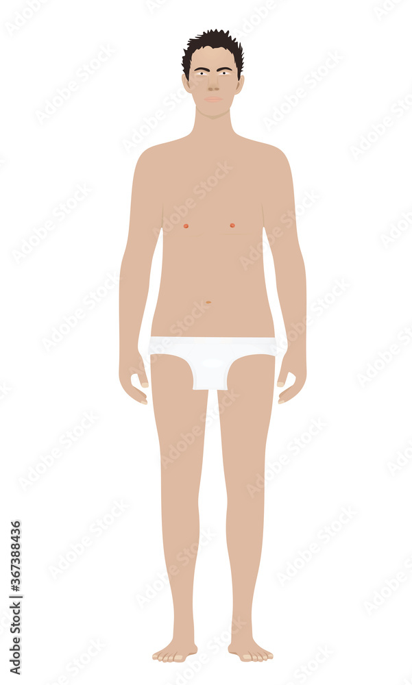 Caucasian man standing in underwear. vector Caucasian man standing in underwear. vector