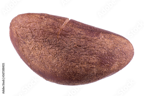 single brazil nut isolated on white background, extreme close range, detailed walnut skin texture, macro photo