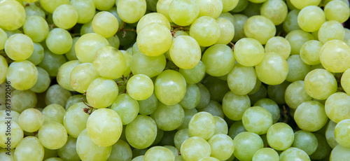 Fresh Fruit Brunch Green Grapes on Shelf in Fresh Fruit market