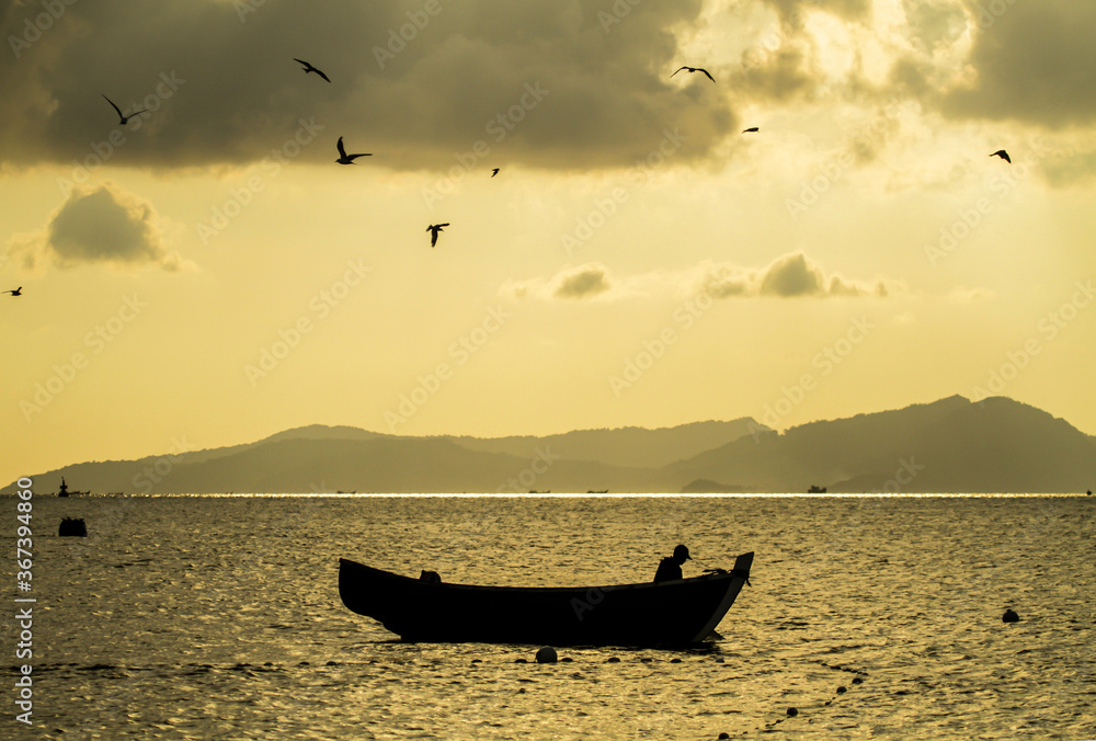 fishing boats and birds at sunset