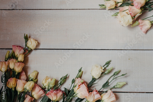 Flower frame made of white and pink eustoms in the style of fine art for an invitation or postcard. Eustoma flowers on a white wooden Board background with space for copying and text in pastel colors. photo