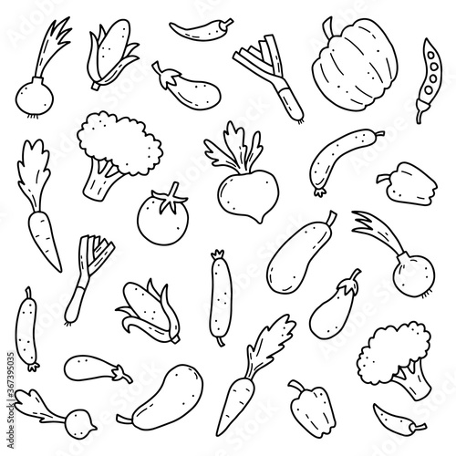 Hand drawn set of vegetable elements, carrot, salad, tomato, onion, lettuce, chili. Comic doodle sketch style. Vegetables element drawn by digital brush-pen. Vector illustration for icon, menu, frame