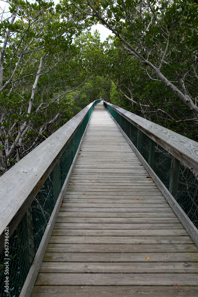 Golden Orb Trail Boardwalk