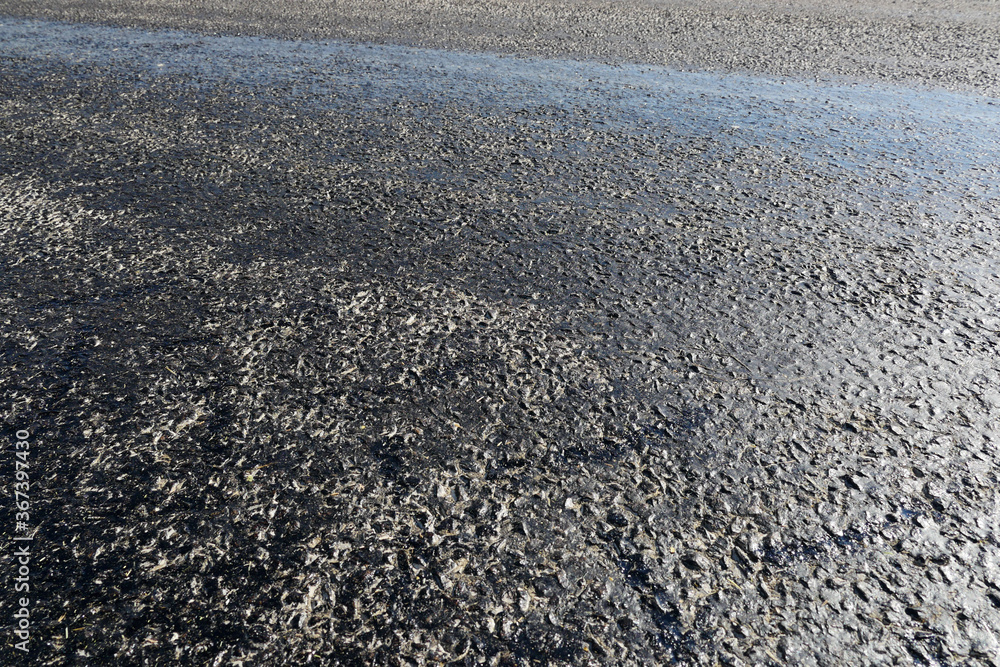 bitumen on the asphalt road, which melts due to the heat in the summer, melted pitch and asphalt road, hot and melted asphalt roads, bitumen on the asphalt road, which melts due to the heat in the summer, melted pitch and asphalt road, hot and melted asphalt roads,