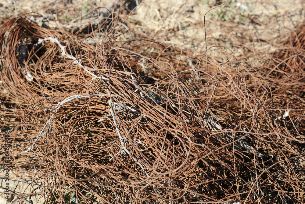 rusty wires, rusty fine wires on earth ground, rusty wires, rusty fine wires on earth ground,